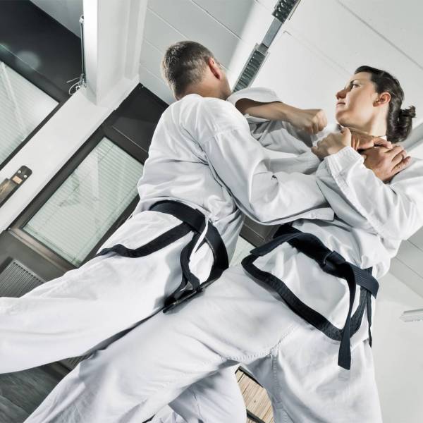 karate kenpo west hartford ct plus one defense systems